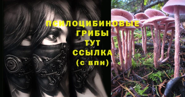 эйфоретик Алексеевка