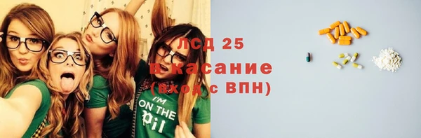 ПСИЛОЦИБИНОВЫЕ ГРИБЫ Алзамай