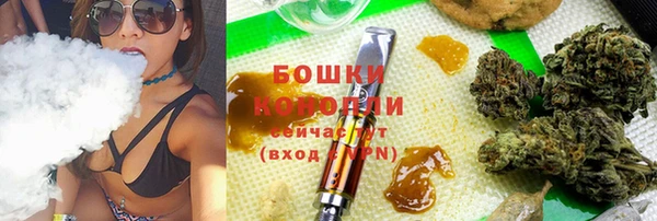 ПСИЛОЦИБИНОВЫЕ ГРИБЫ Алзамай