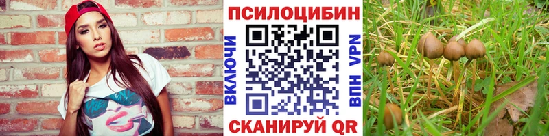 Галлюциногенные грибы GOLDEN TEACHER  Плавск 